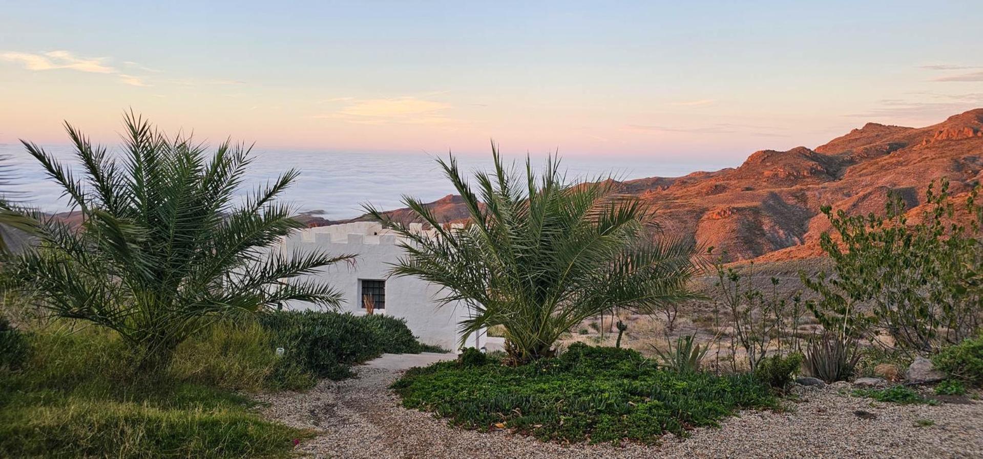 Cortijo El Albaricoque De La Sierra - Finca De 75 Hectareas ! 尼哈尔 外观 照片